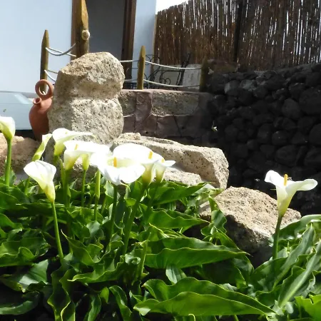 Suncanarias Casa Tajinaste Panzió Vilaflor